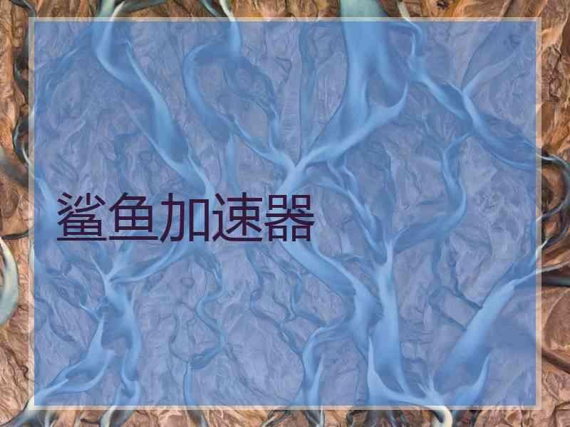 鲨鱼加速器